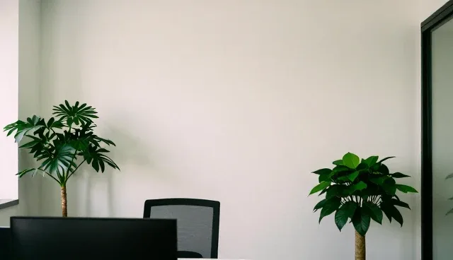 供需信息平台如何选择适用条件?